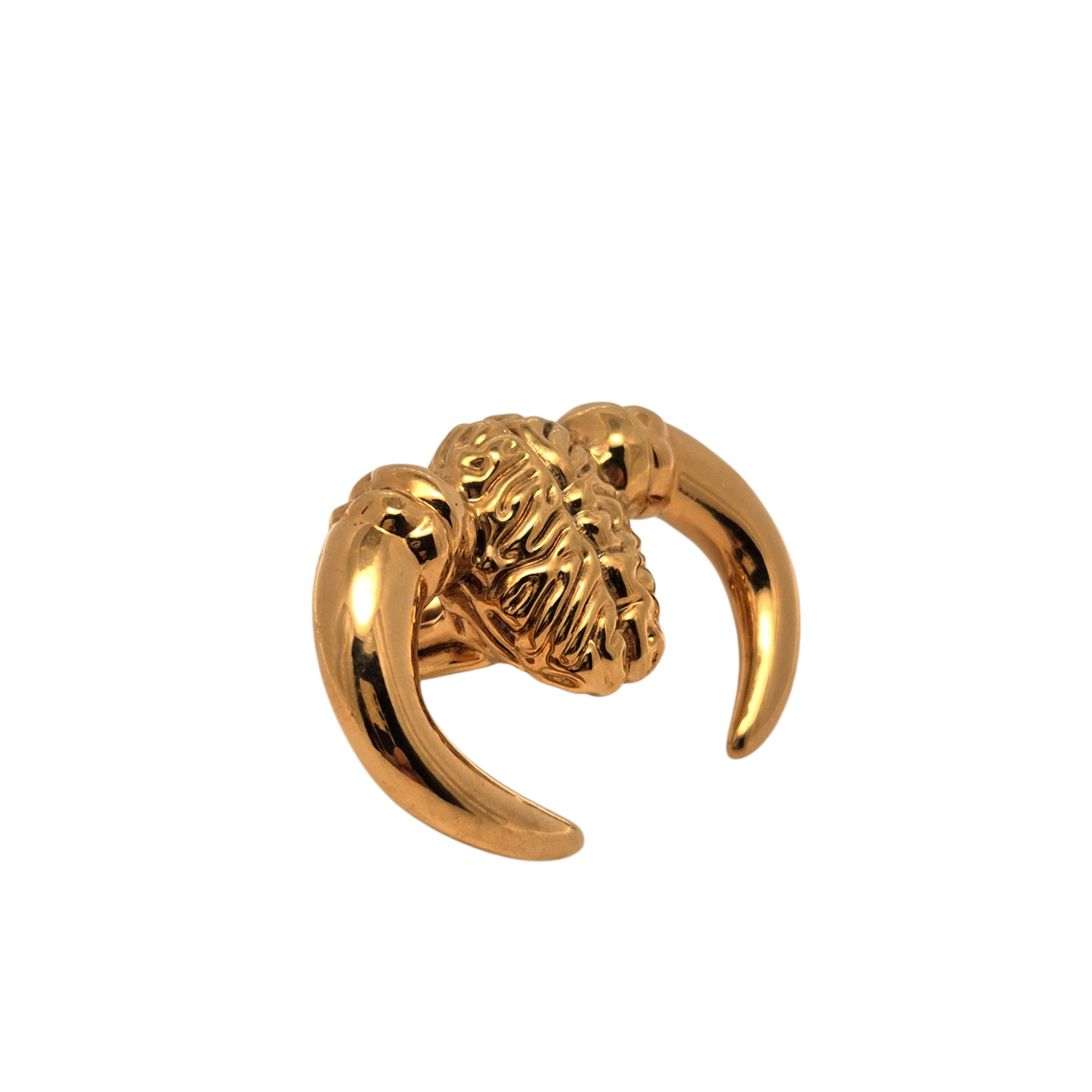 Anello "difendi le tue idee" in argento
