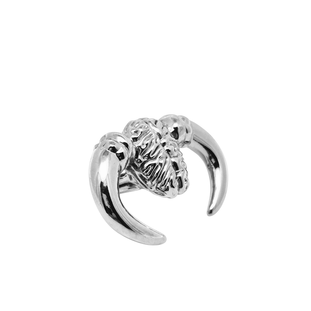 Anello "difendi le tue idee" in ottone