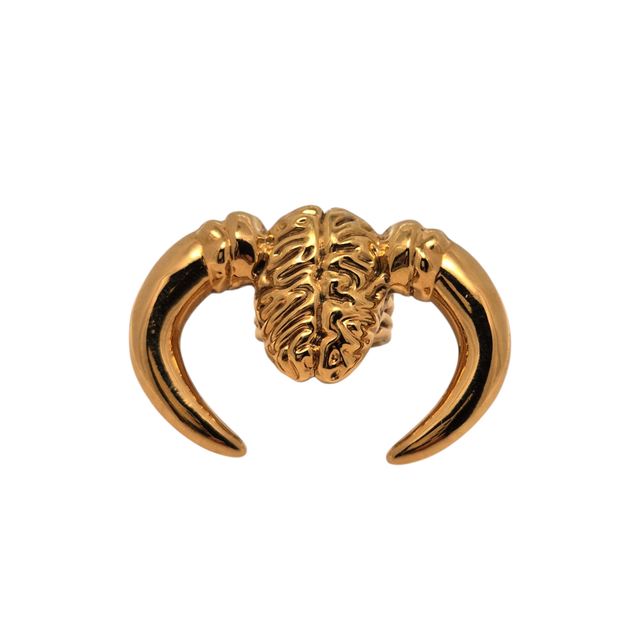 Anello "difendi le tue idee" in ottone