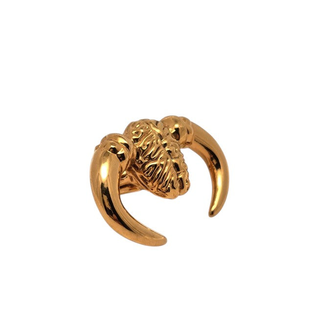 Anello "difendi le tue idee" in ottone